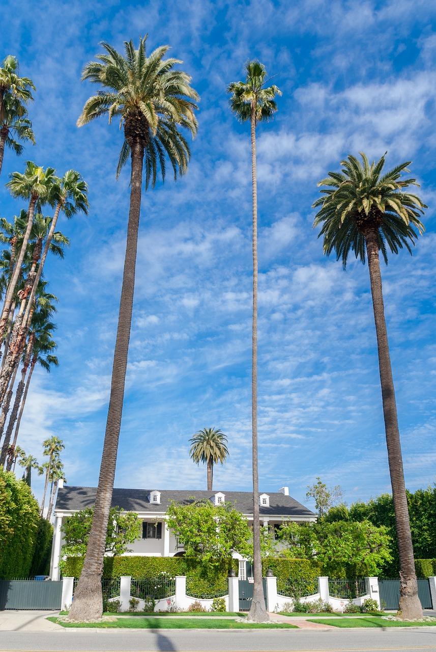 What street do celebrities live on in Beverly Hills? 