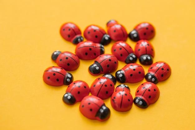 Where do ladybugs lay their eggs in houses? 