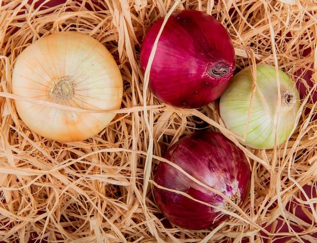 Which onion is best red or white for hair 