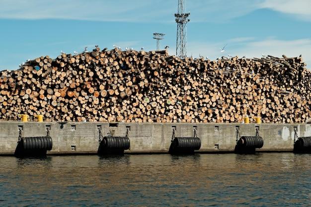 Why are logs stored in water? 