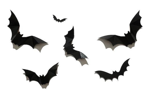 Why Do Bats Fly Over Your Head - GCELT