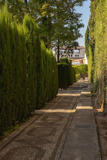 Why do Italians hose the driveway? 