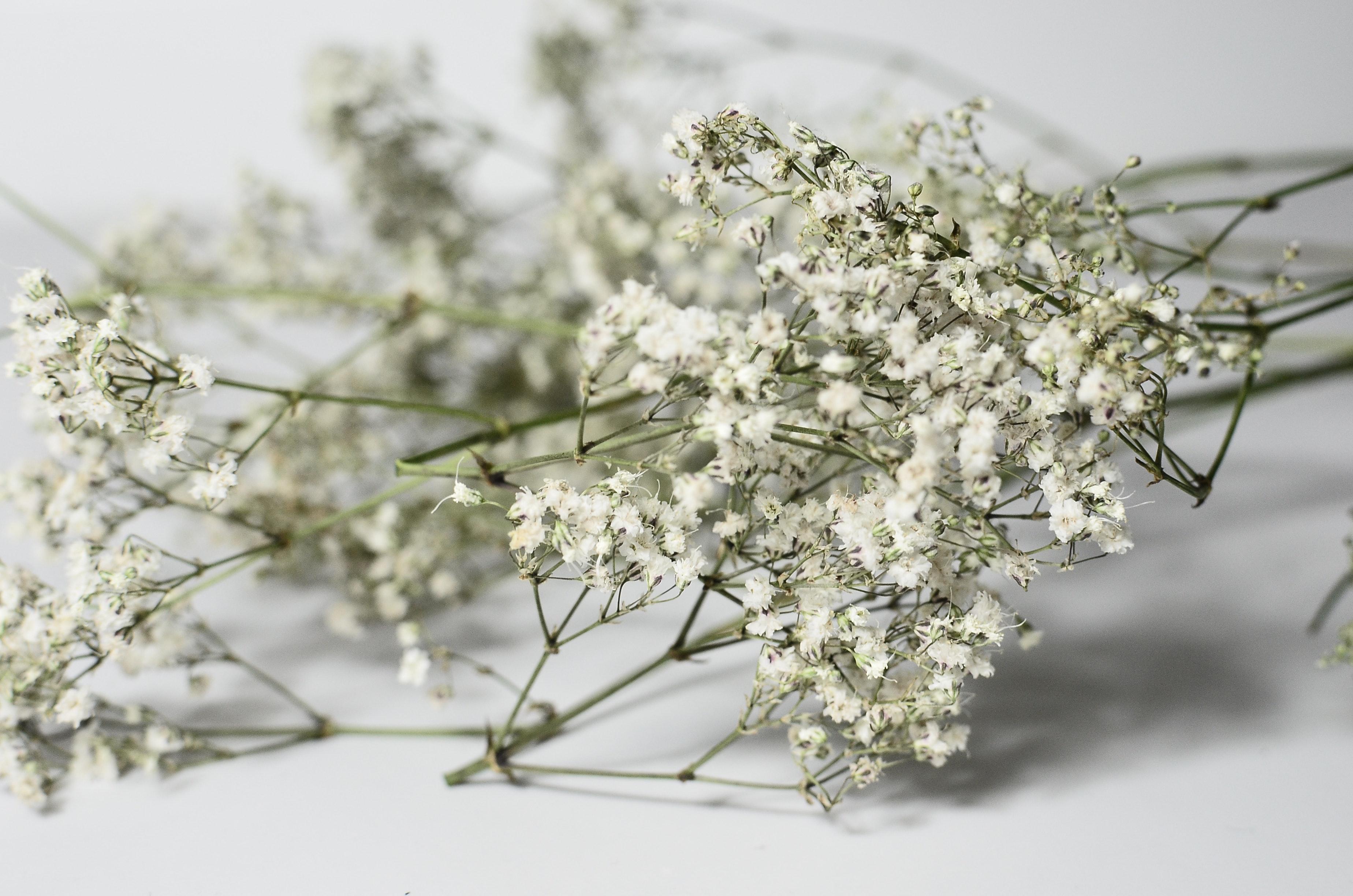 Why does my baby's breath smell sweet? 