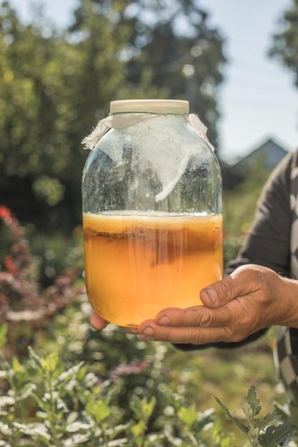 Will kombucha show up on urine test? 