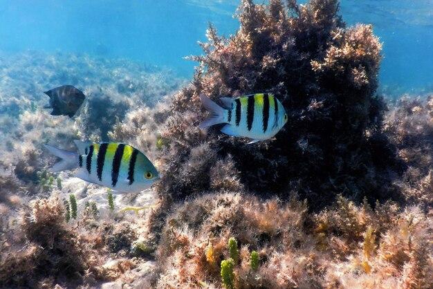 Will the Florida Keys be underwater in 10 years? 