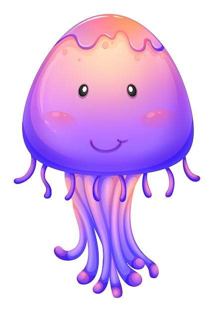 Can jellyfish change gender 