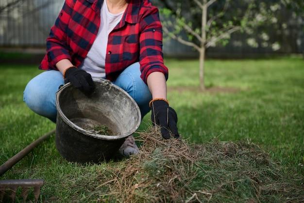 Do the Amish use human waste as fertilizer 