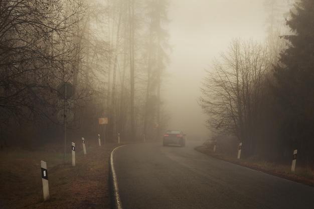 When driving in fog you can see better by 