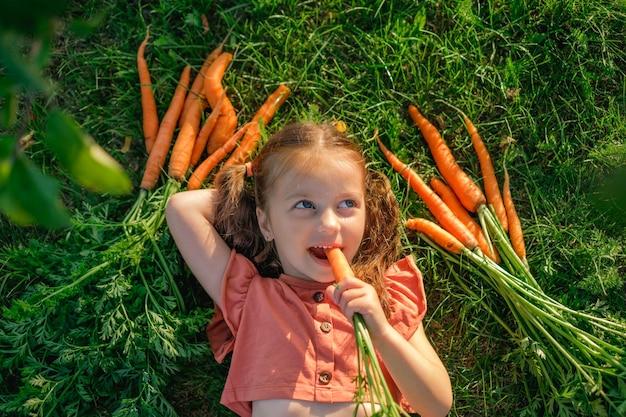 How do you properly eat a carrot 