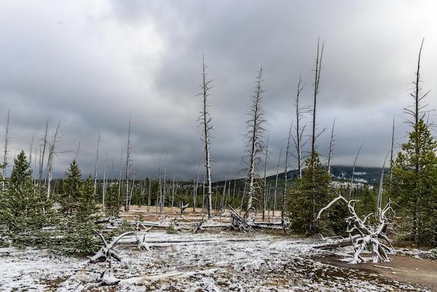 Is Casey dead in Yellowstone 