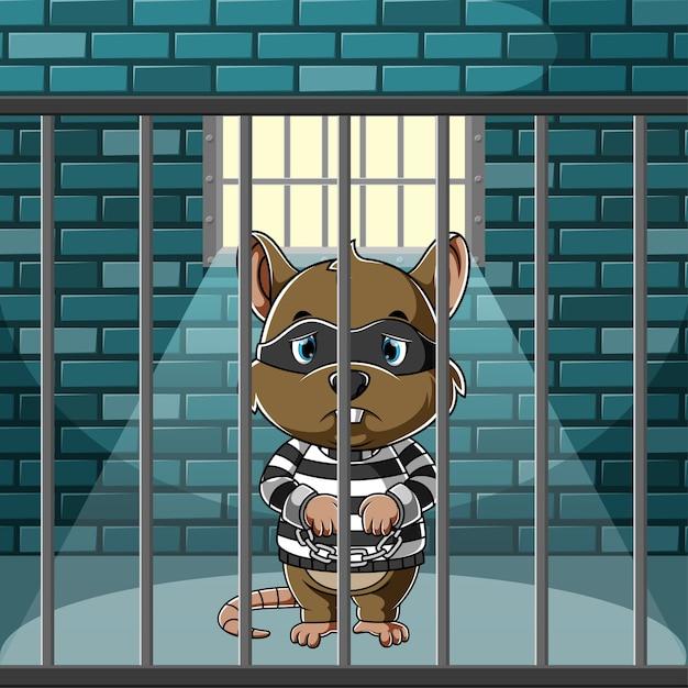 Why did Annie go to jail 