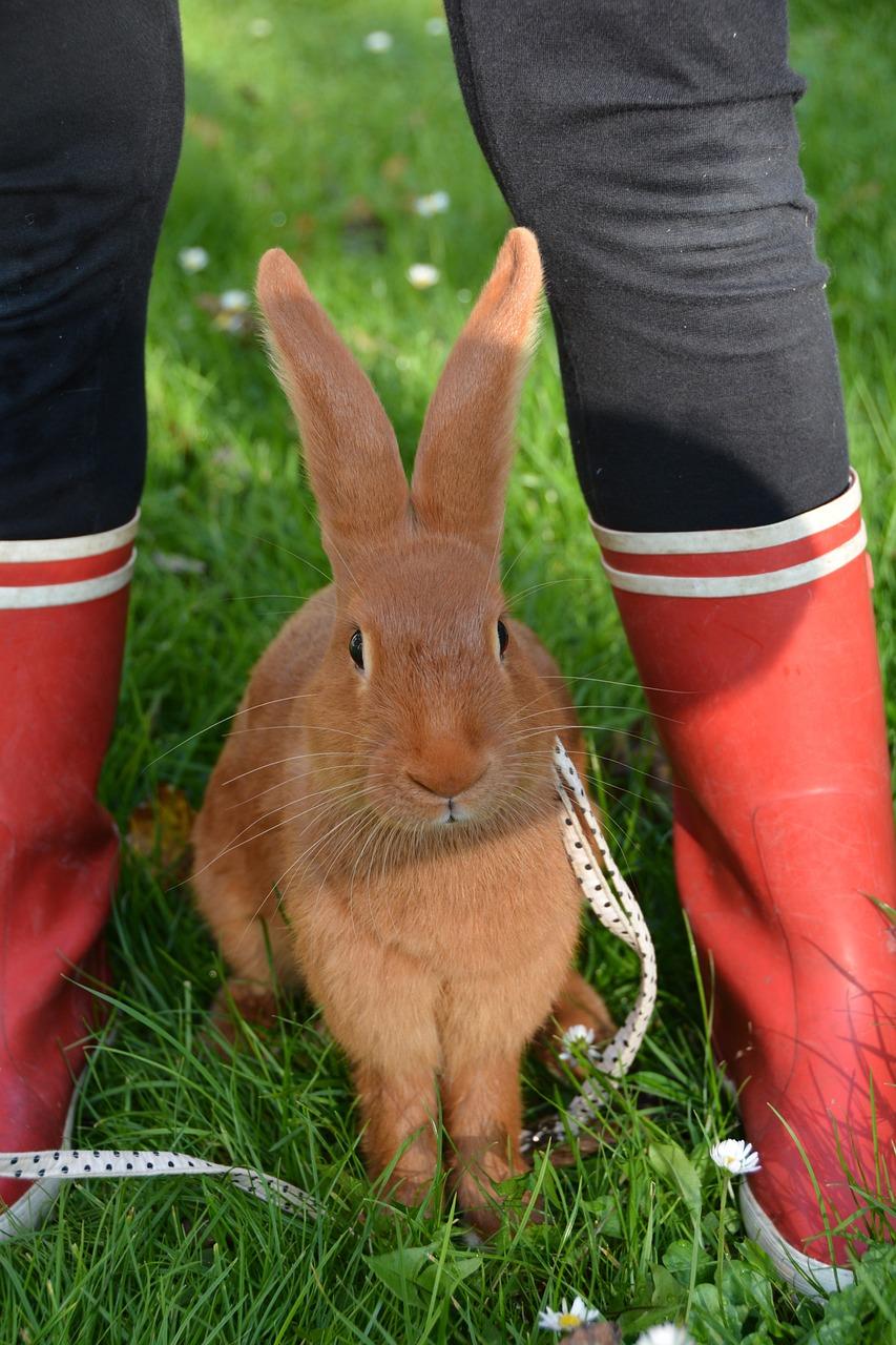 What are bunny boots in Alaska 