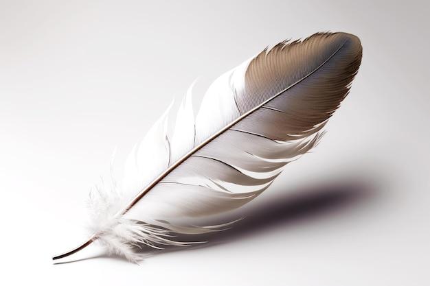 What does a brown and white feather mean 